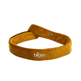 moutarde ceinture