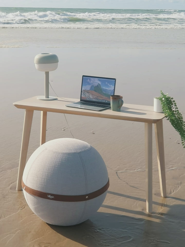 Ball seat | ergonomic seat – Bloon Paris